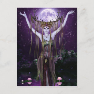 Briefkaart Night Creatures