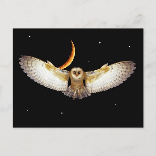 briefkaart "Night Flight" (Voorkant)
