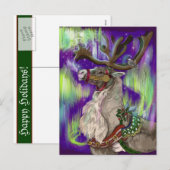 Briefkaart Noordelijke Wonders (Voorkant / Achterkant)