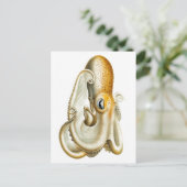 briefkaart "OCTOPUS" SEALIFE (Staand voorkant)