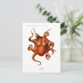 briefkaart "OCTOPUS" SEALIFE (Staand voorkant)