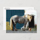 briefkaart "Odin & The Twins" (Voorkant / Achterkant)