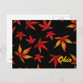 Briefkaart Ohio Autumn Leaves (Voorkant / Achterkant)