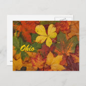 Briefkaart Ohio Autumn Leaves (Voorkant / Achterkant)