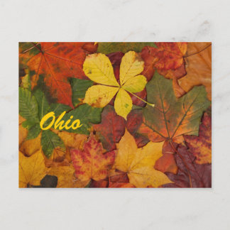 Briefkaart Ohio Autumn Leaves