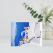 Briefkaart Oia Santorini (Staand voorkant)