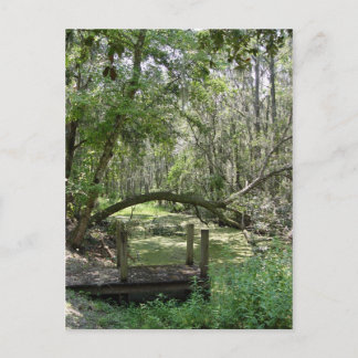 Briefkaart - Old Florida