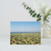 Briefkaart olijfbomen (Staand voorkant)