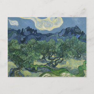 Briefkaart olijfbomen