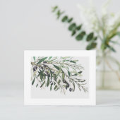 BRIEFKAART : OLIJFBRANK (Staand voorkant)