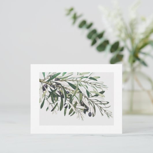 BRIEFKAART : OLIJFBRANK (Staand voorkant)