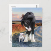 briefkaart "Ollie & Blackbird" (Voorkant / Achterkant)