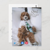 briefkaart ontspant beddehond (Voorkant / Achterkant)