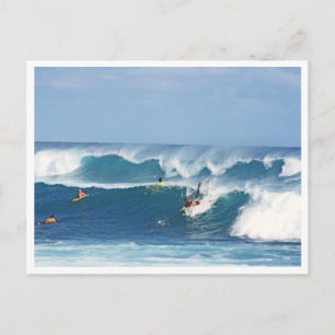 BRIEFKAART, "OOGSTEN IN KAUAI" BRIEFKAART