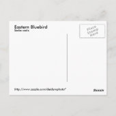 Briefkaart Oost-Blauwvogel (Achterkant)