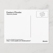 Briefkaart Oost-Phoebe (Achterkant)