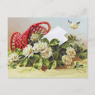 Briefkaart op de geboorte