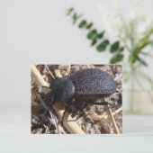 Briefkaart op de grond (Staand voorkant)