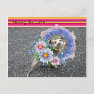 Briefkaart Opossum Floral Stripe Ontbreekt je.