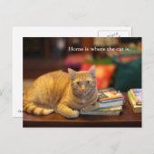 Briefkaart Oranje kat (Voorkant / Achterkant)