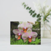Briefkaart - Orchid (Staand voorkant)