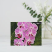 Briefkaart - Orchid (Staand voorkant)