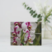 Briefkaart - Orchid (Staand voorkant)