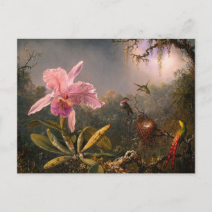 Briefkaart: Orchidee en kolibries Briefkaart