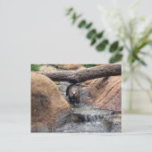 Briefkaart Otter (Staand voorkant)