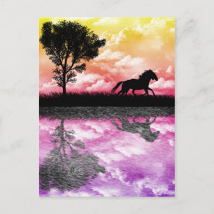 Briefkaart Paardenreflecties