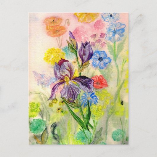 briefkaart "Paarse Iris" (Voorkant)