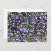 Briefkaart Paarse lentevloeren (Voorkant / Achterkant)
