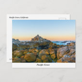 Briefkaart Pacifische Grove (Voorkant / Achterkant)