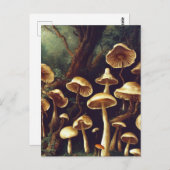 Briefkaart paddenstoelen (Voorkant / Achterkant)