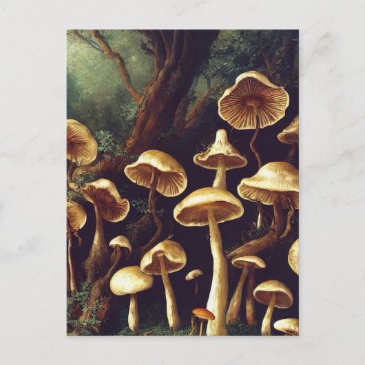 Briefkaart paddenstoelen (Voorkant)