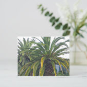 Briefkaart Palm Trees (Staand voorkant)