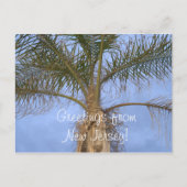 Briefkaart palmbomen — groeten van NJ (Voorkant)