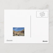 Briefkaart palmveren (Achterkant)