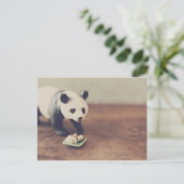 Briefkaart Panda en Sushi (Staand voorkant)