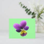 Briefkaart Pansy (Staand voorkant)