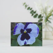 Briefkaart Pansy Bloom (Staand voorkant)