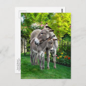 briefkaart "Pasen en Baby" (Voorkant / Achterkant)