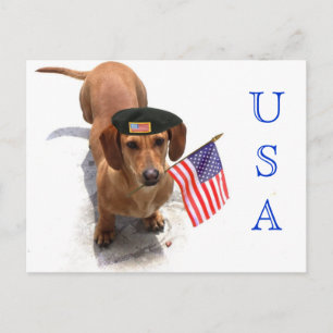 BRIEFKAART Patriotic dachshund