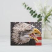 Briefkaart patriottisch Afbeelding Eagle (Staand voorkant)
