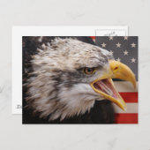 Briefkaart patriottisch Afbeelding Eagle (Voorkant / Achterkant)