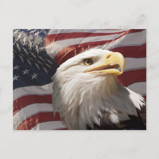 Briefkaart patriottisch Eagle
