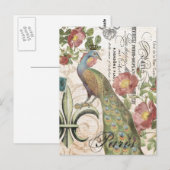 briefkaart Peacock (Voorkant / Achterkant)