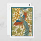 Briefkaart - Peacock (Voorkant / Achterkant)