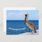 Briefkaart - Pelican - Denk aan u (Voorkant / Achterkant)