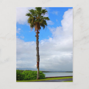 briefkaart "Permanente band"